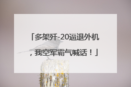 多架歼-20逼退外机，我空军霸气喊话！