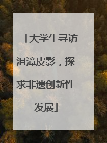 大学生寻访沮漳皮影，探求非遗创新性发展