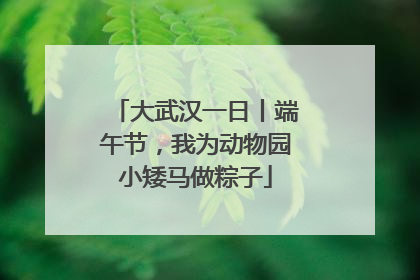 大武汉一日丨端午节，我为动物园小矮马做粽子