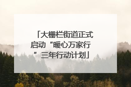大栅栏街道正式启动“暖心万家行”三年行动计划