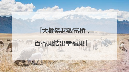 大棚架起致富桥，百香果结出幸福果