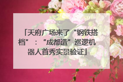 天府广场来了“钢铁搭档”：“成都造”巡逻机器人首秀实景验证