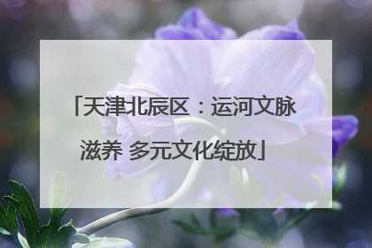 天津北辰区：运河文脉滋养 多元文化绽放