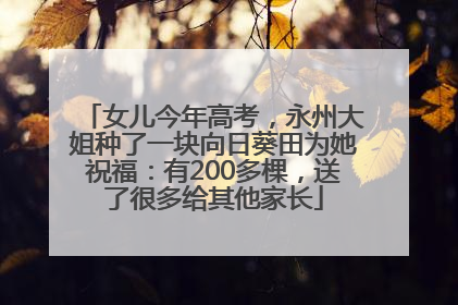 女儿今年高考，永州大姐种了一块向日葵田为她祝福：有200多棵，送了很多给其他家长