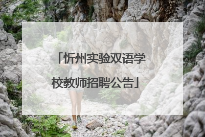 忻州实验双语学校教师招聘公告