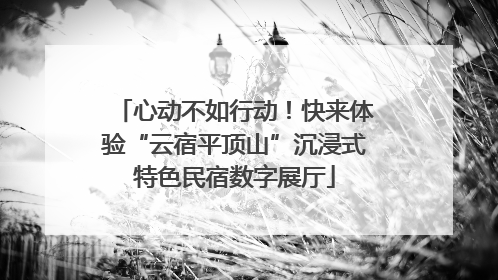 心动不如行动！快来体验“云宿平顶山”沉浸式特色民宿数字展厅