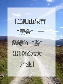 当阳山泉育“黑金” 一条鲟鱼“游”出10亿元大产业