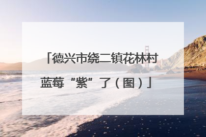 德兴市绕二镇花林村蓝莓“紫”了（图）