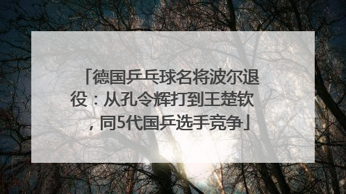 德国乒乓球名将波尔退役：从孔令辉打到王楚钦，同5代国乒选手竞争