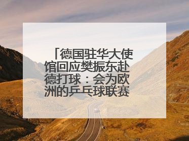 德国驻华大使馆回应樊振东赴德打球：会为欧洲的乒乓球联赛带来新的光彩