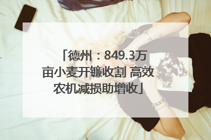 德州：849.3万亩小麦开镰收割 高效农机减损助增收