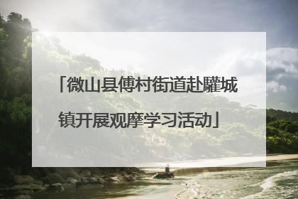 微山县傅村街道赴驩城镇开展观摩学习活动