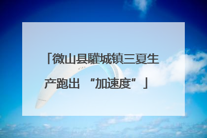微山县驩城镇三夏生产跑出 “加速度”