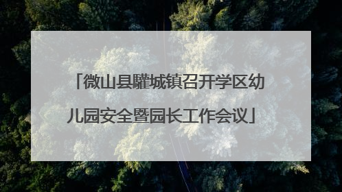 微山县驩城镇召开学区幼儿园安全暨园长工作会议
