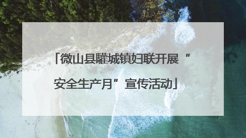 微山县驩城镇妇联开展“安全生产月”宣传活动