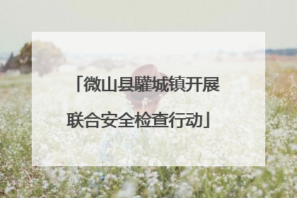 微山县驩城镇开展联合安全检查行动