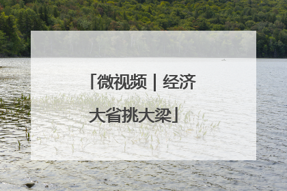 微视频｜经济大省挑大梁