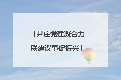 尹庄党建凝合力 联建议事促振兴
