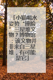 小猫喝水姿势“撞脸”三星堆文物？博物馆：该文物并非来自三星堆，有可能是它