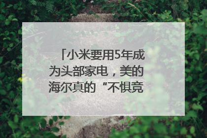 小米要用5年成为头部家电，美的海尔真的“不惧竞争”？｜热财经