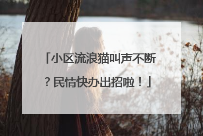 小区流浪猫叫声不断？民情快办出招啦！