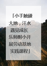 小手触碰大地，汗水遇见成长 乐师附小开展劳动基地实践课程