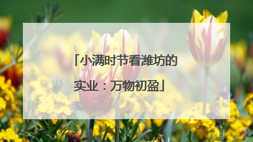 小满时节看潍坊的实业：万物初盈