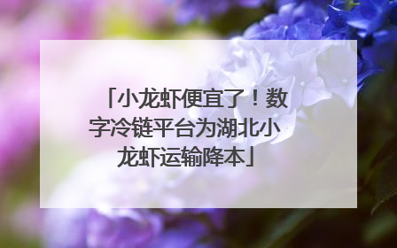 小龙虾便宜了！数字冷链平台为湖北小龙虾运输降本