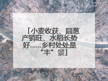小麦收获、圆葱产销旺、水稻长势好……乡村处处是“丰”景