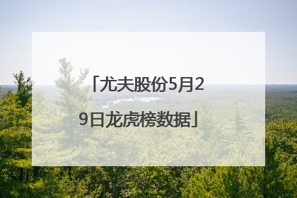 尤夫股份5月29日龙虎榜数据