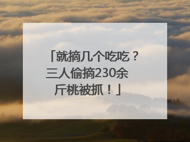 就摘几个吃吃？三人偷摘230余斤桃被抓！