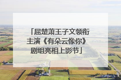 屈楚萧王子文领衔主演《有朵云像你》剧组亮相上影节