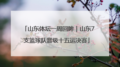 山东体坛一周回眸｜山东7支篮球队晋级十五运决赛