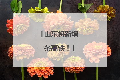 山东将新增一条高铁！