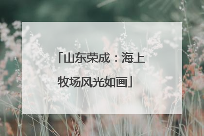 山东荣成：海上牧场风光如画