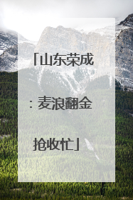 山东荣成：麦浪翻金抢收忙
