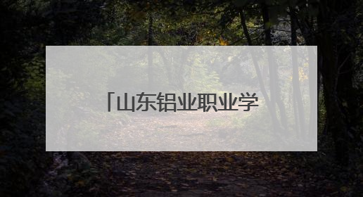 山东铝业职业学院：校社携手共绘端午温暖画卷