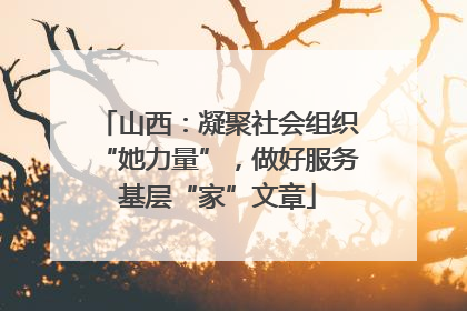 山西：凝聚社会组织“她力量”，做好服务基层“家”文章
