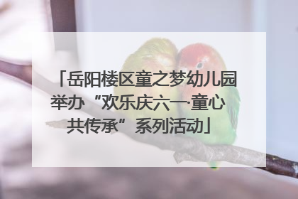 岳阳楼区童之梦幼儿园举办“欢乐庆六一·童心共传承”系列活动