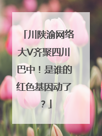川陕渝网络大V齐聚四川巴中！是谁的红色基因动了？
