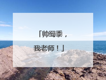 帅蜀黍，我老师！