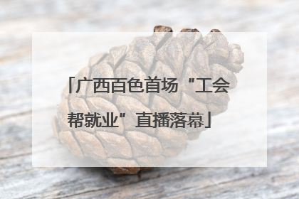 广西百色首场“工会帮就业”直播落幕