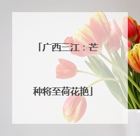 广西三江：芒种将至荷花艳