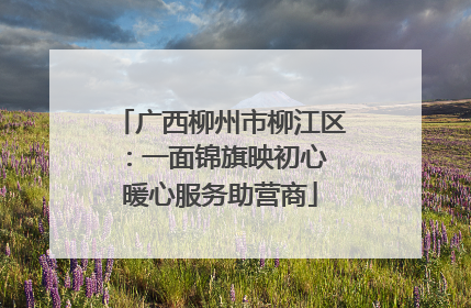 广西柳州市柳江区：一面锦旗映初心 暖心服务助营商