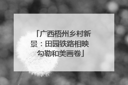 广西梧州乡村新景：田园铁路相映 勾勒和美画卷