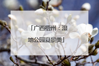 广西梧州：湿地公园夏景美