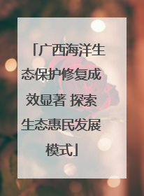 广西海洋生态保护修复成效显著 探索生态惠民发展模式