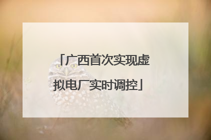 广西首次实现虚拟电厂实时调控