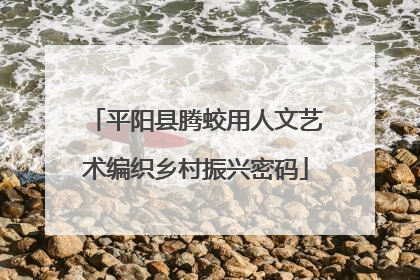 平阳县腾蛟用人文艺术编织乡村振兴密码