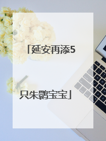 延安再添5只朱鹮宝宝